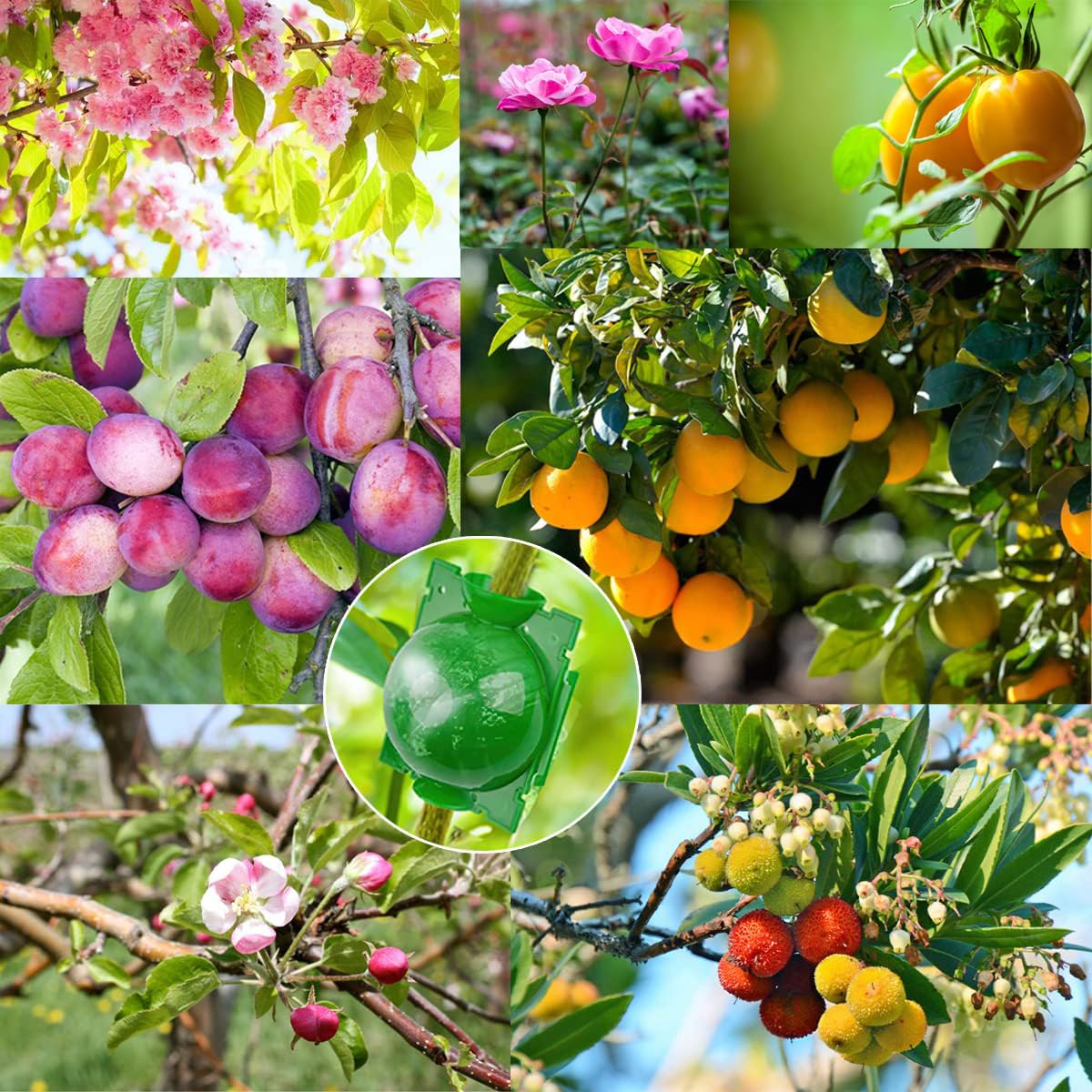 20 Piezas Dispositivos de Enraizamiento de Plantas, Caja de Cultivo de Raíces de Plantas Reutilizables con 20 Bridas de Cable para Injertar y Echar Raíces en Jardines (S+M+L) (Verde)