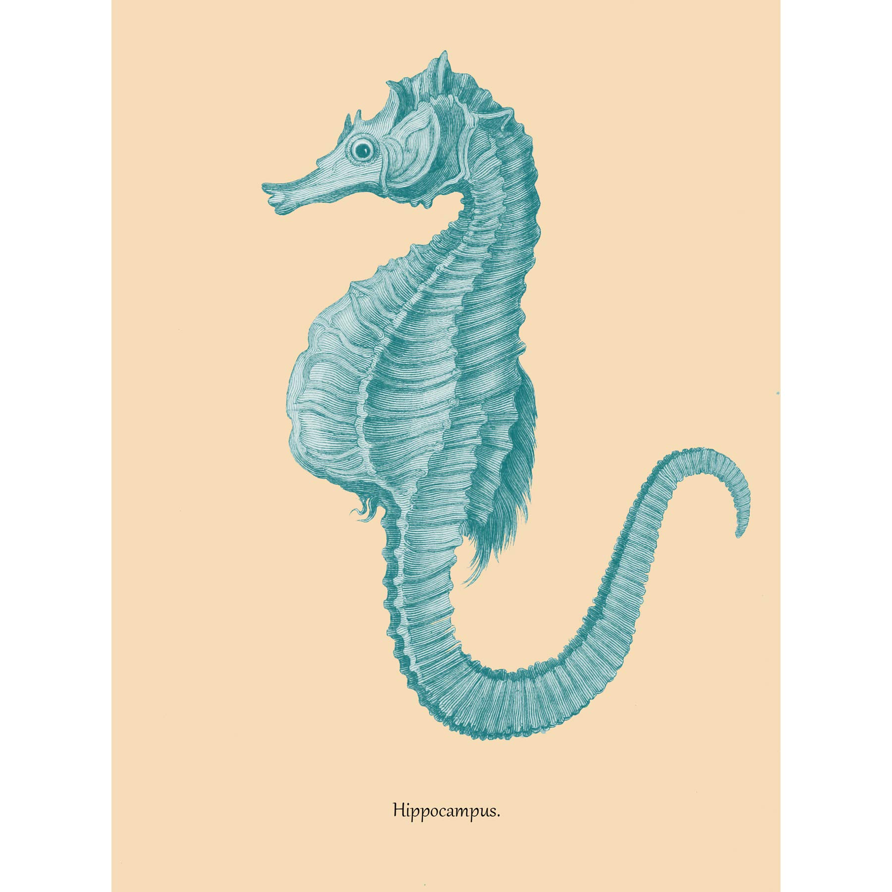Wee Blue Coo Sea Horse Hippocampus Blue Large Wall Art Print Canvas Premium Poster