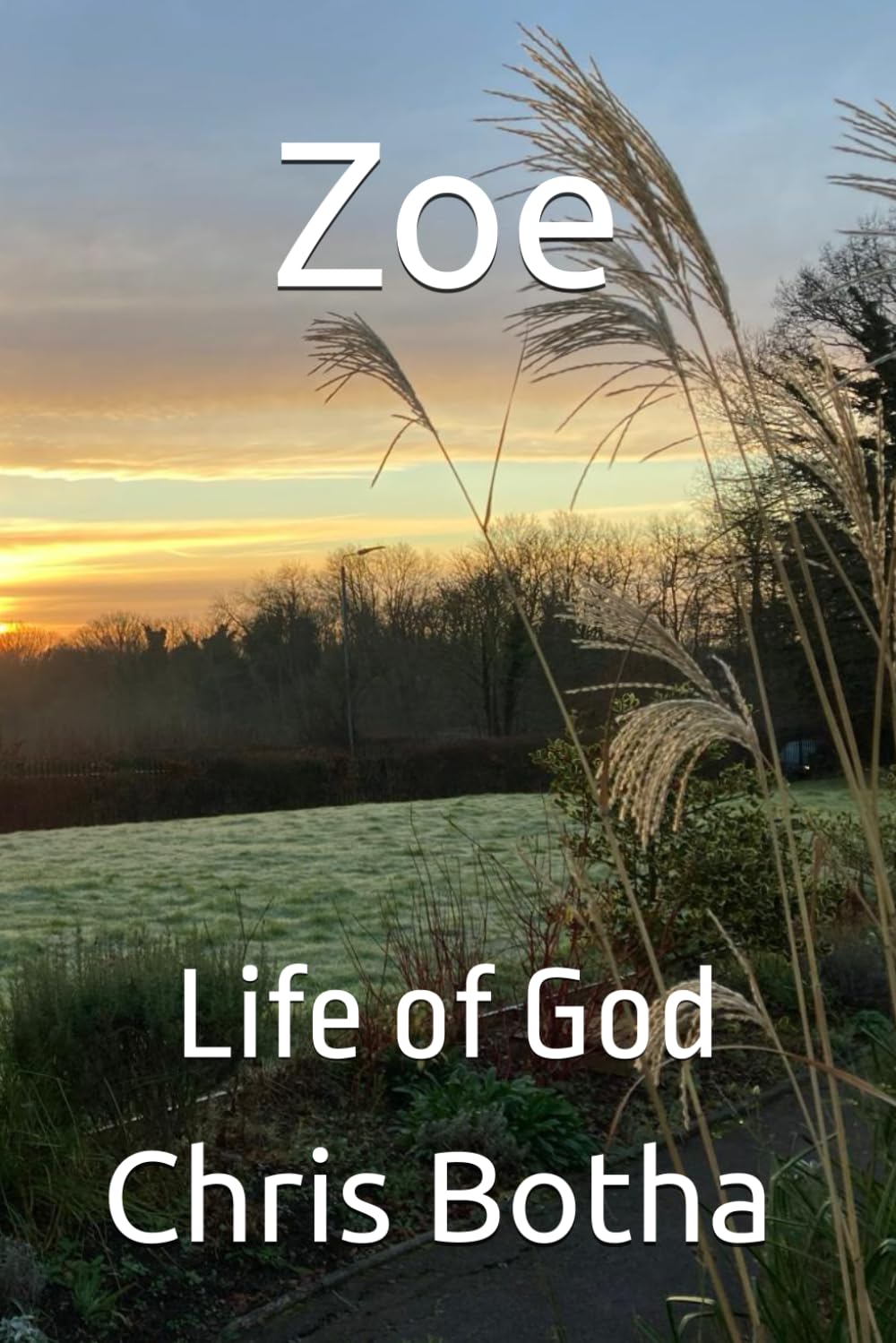 Zoe: Life of God
