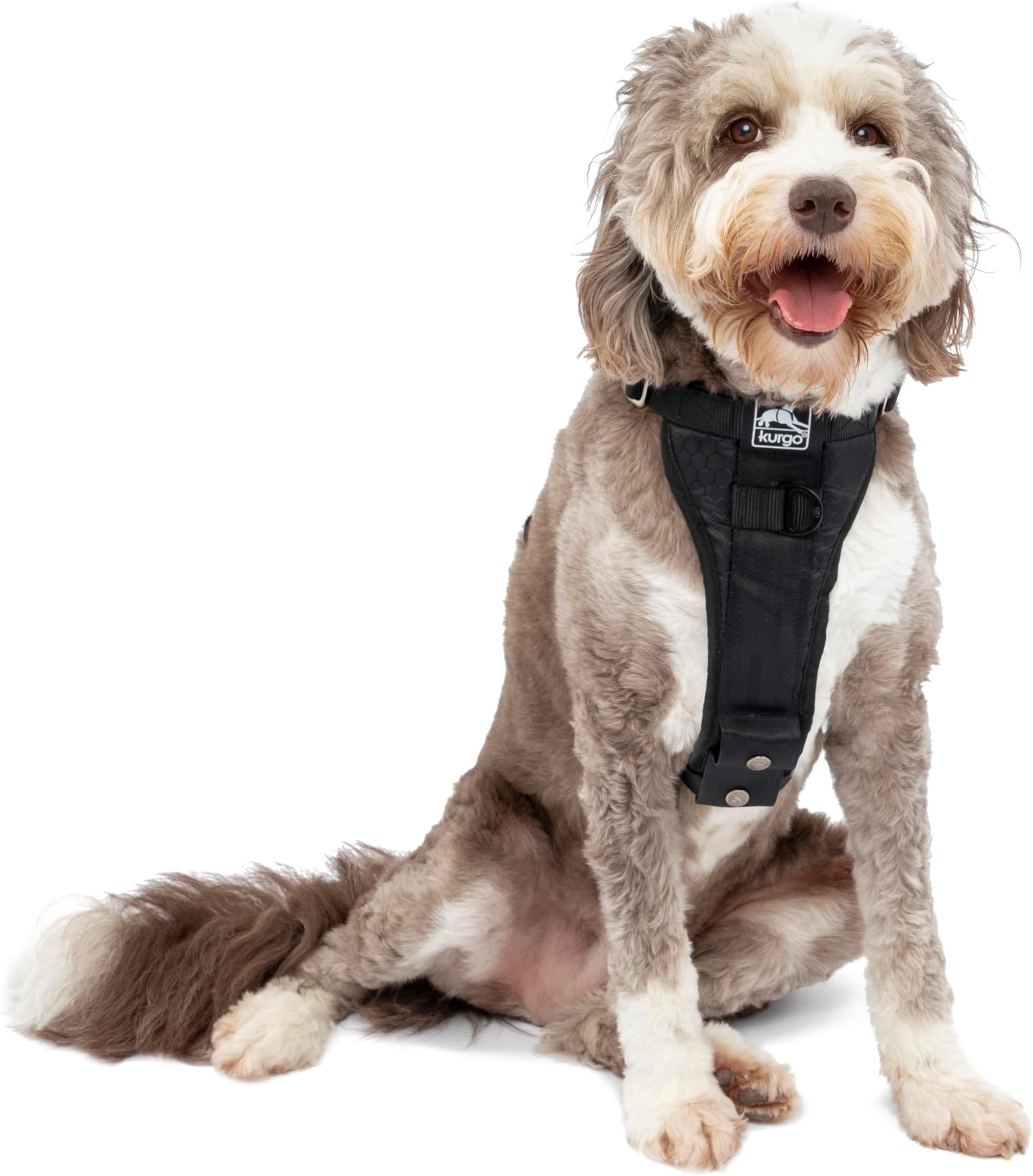 gurt für hund im auto