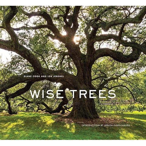 Wise Trees Cover