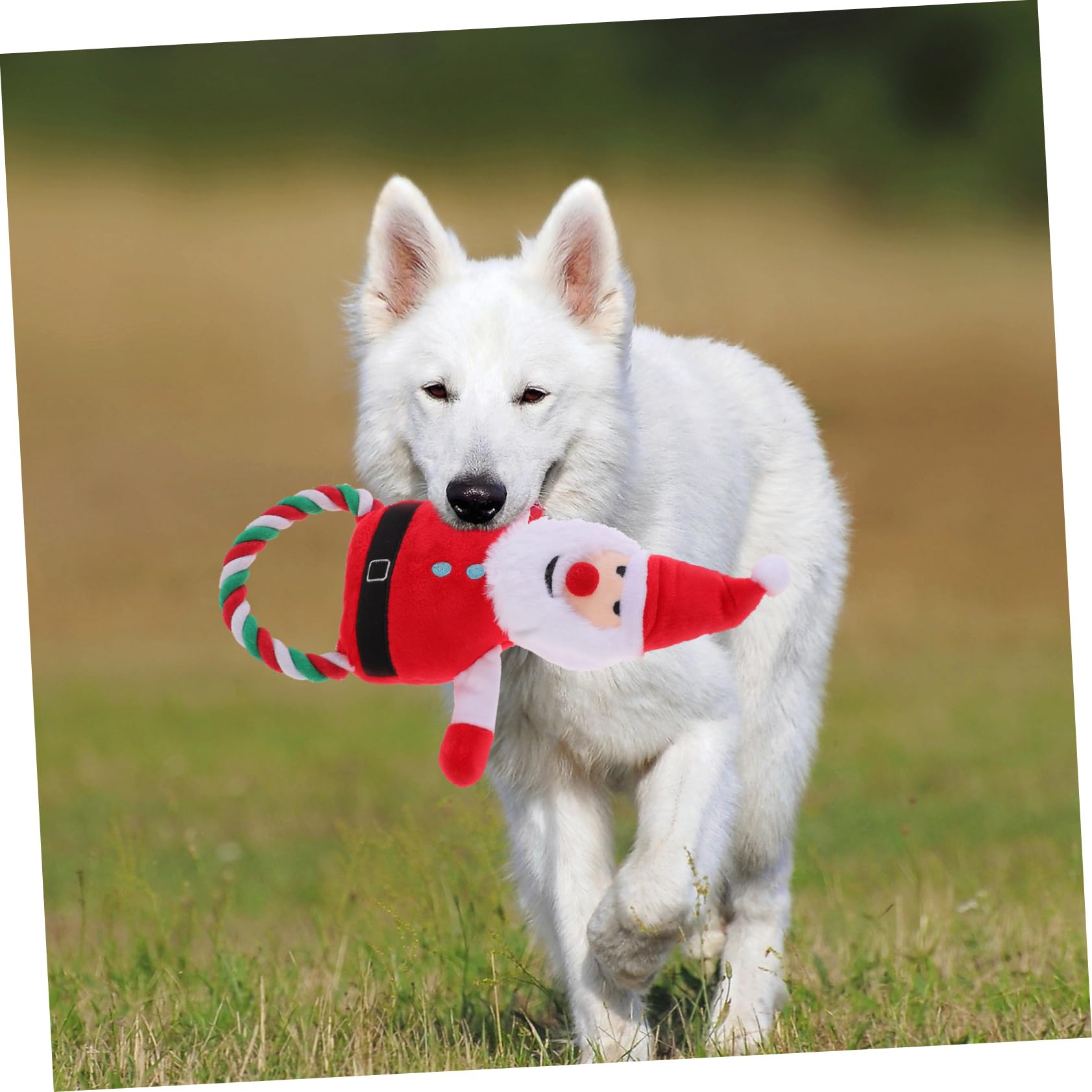 BESPORTBLE 5stücke Puppy Chew Toy Santa Claus Form Interaktives Spielzeug Für Hunde Quietschend Und Langlebig Für Weihnachten Fördert Das Kauen Intelligenz Von Haustieren