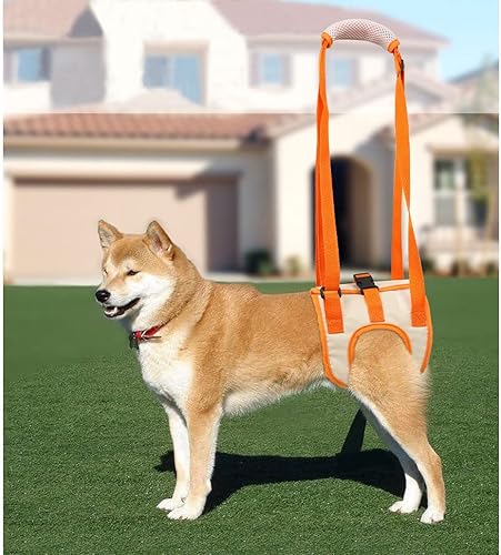 Miniatura 2 de ASTTZN - Arnés de soporte para patas traseras para perros, soporte para patas traseras, para movilidad de mascotas, ayuda a los perros con mala