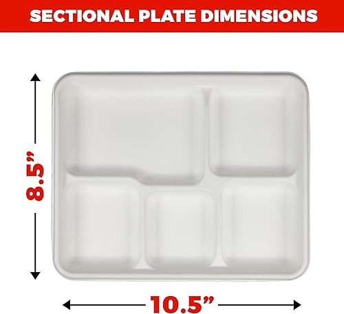 Miniatura 5 de NYHI Platos de papel desechables, paquete de 125 platos con compartimentos, platos 100% compostables para fiestas, picnic, camping, bandejas de