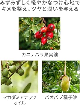 Amazon.co.jp: VINTORTE SPF50+ PA++++ UV ミネラル クリーム 日焼け