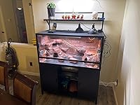 Review Image by Joel Joel