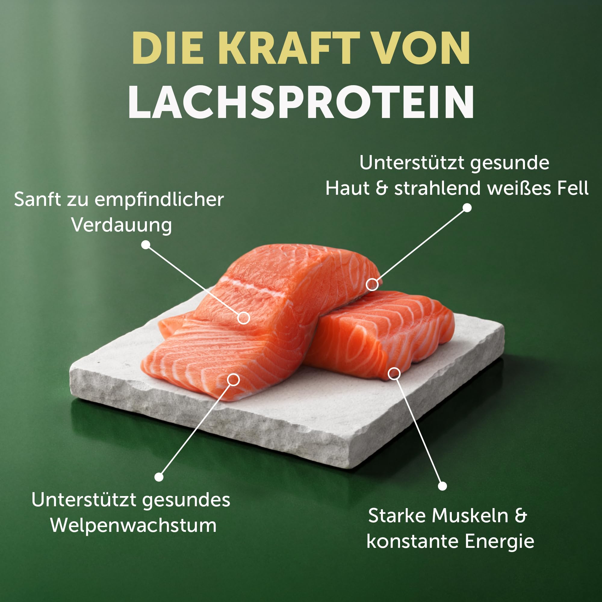 Nature's Protection Superior Care Hundefutter Trocken Getreidefrei - Hypoallergenes Welpenfutter mit Lachs für Weiße Hunde Aller Rassen, Trockenfutter für Welpen, 10kg