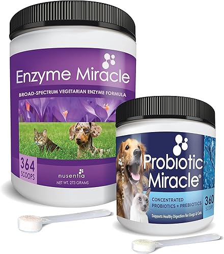 NUSENTIA The Miracle Pack - Probióticos naturales + enzimas digestivas (grande) - Prebióticos - para diarrea, gases, heces sueltas, malestar