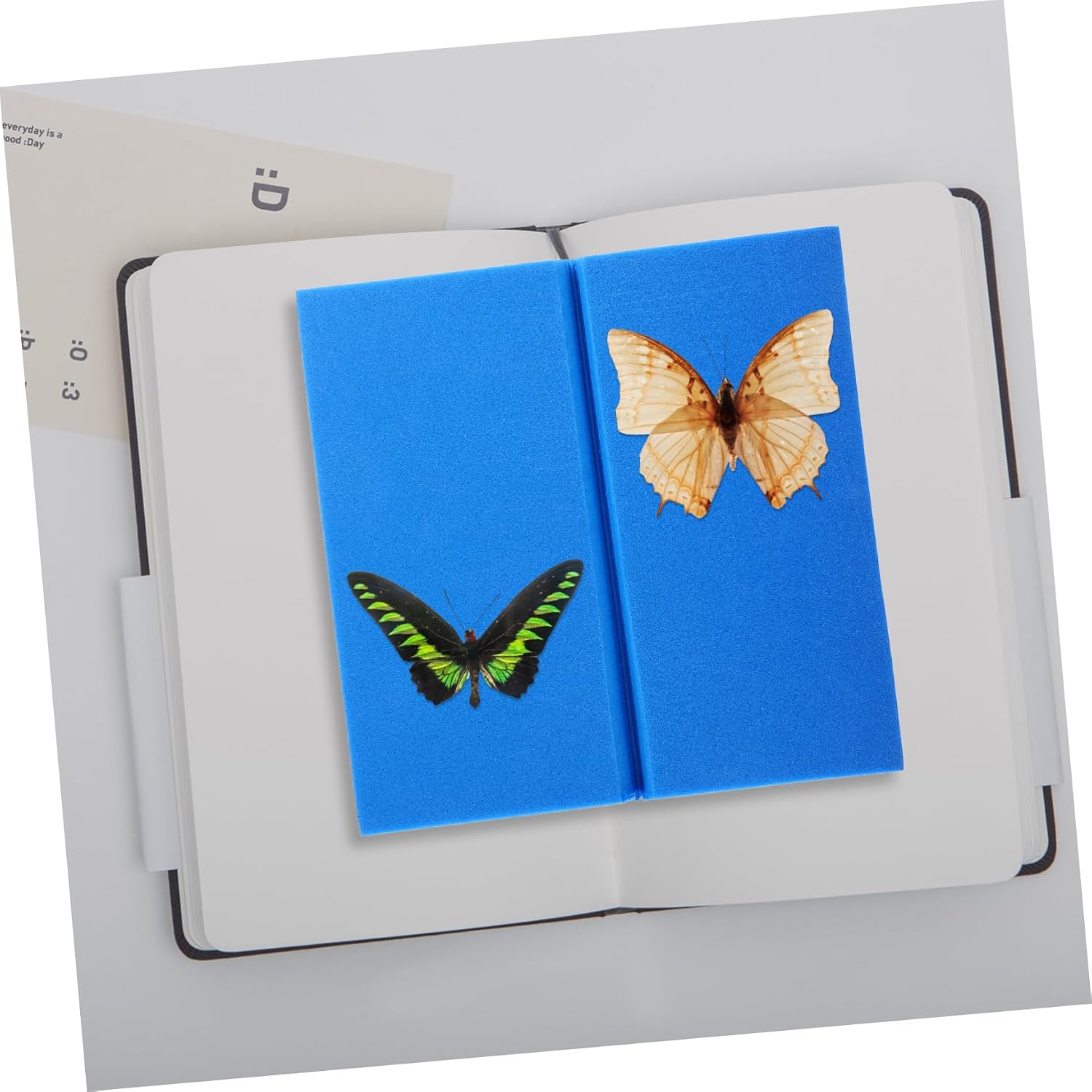 KICHOUSE Insect Specimen Display Butterfly Specimen Display Board Eva Foam Pinning Board
