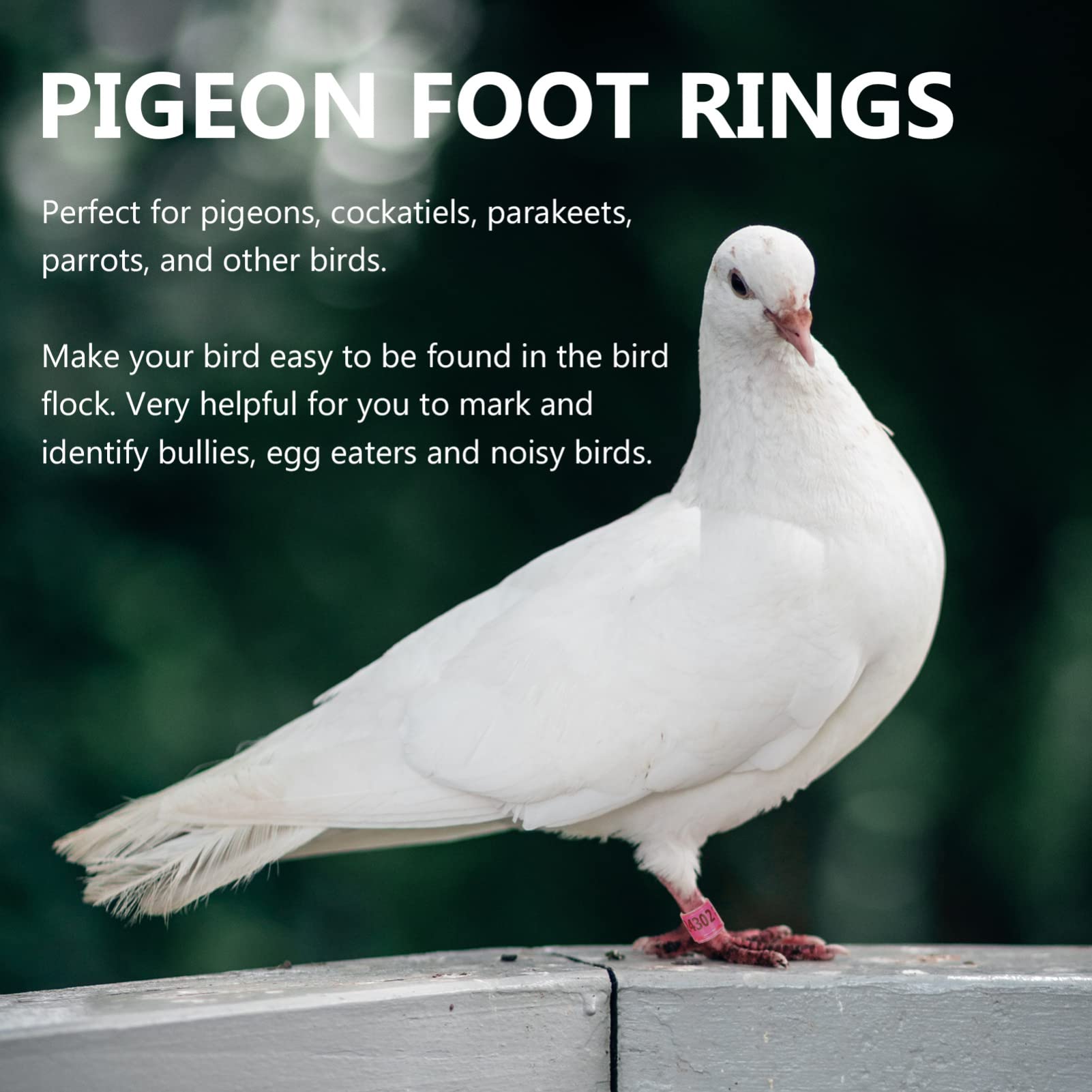 100 Piezas Anillos de Pata de Paloma de Carreras Anillo de Aluminio Numerado for Pie de Pájaro Identificar Anillos de Entrenamiento de Paloma for Paloma Loro Pinzón Eclosión de Canario Anillos de Aves