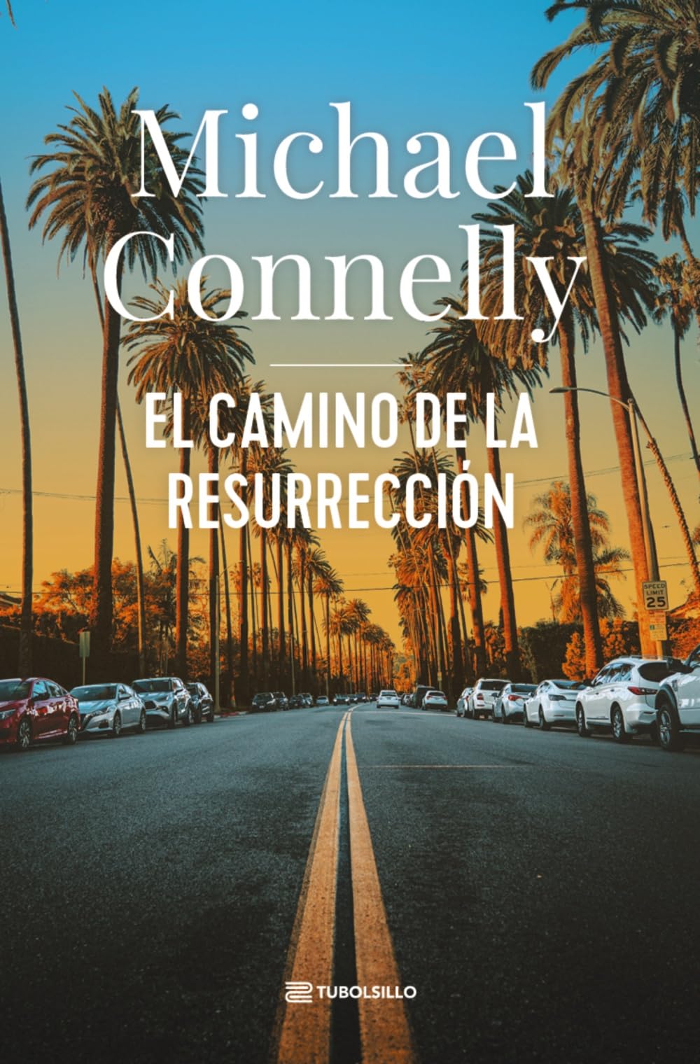 El camino de la resurrección (Novela negra)