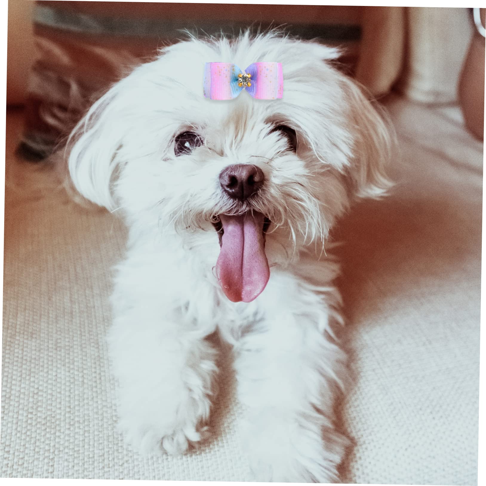 BESPORTBLE 100 Piezas Flor de Cabeza de Mascota Perros Accesorios decoración para Mascotas Arcos de Cabeza de Accesorios para el Pelo de Mascotas Lazo de Goma para Arcos de