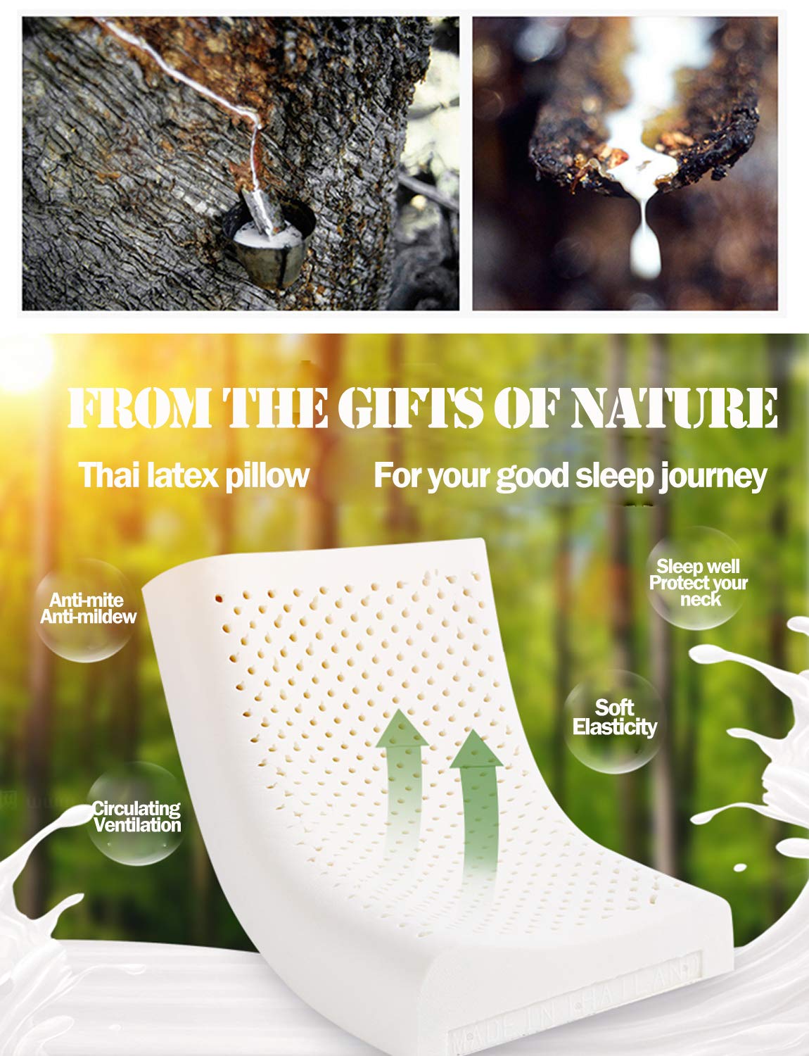Amazon｜天然ラテックス枕 洗濯可能な枕カバー付き タイ 天然