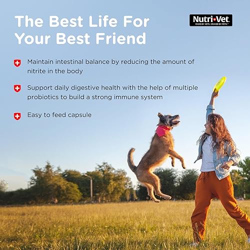 Miniatura 6 de Nutri-Vet Cápsulas de probióticos para perros  Apoya la salud digestiva  Para perros de todos los tamaños  Promueve un sistema inmunológico