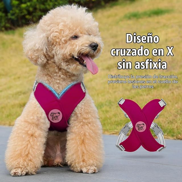 Foto 3 de 7 de Pawaboo Conjunto de arnés y Correa Ajustable para Perros pequeños