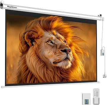 120" 169 Motorized Projector Screen with Dual-Side Power Inlet