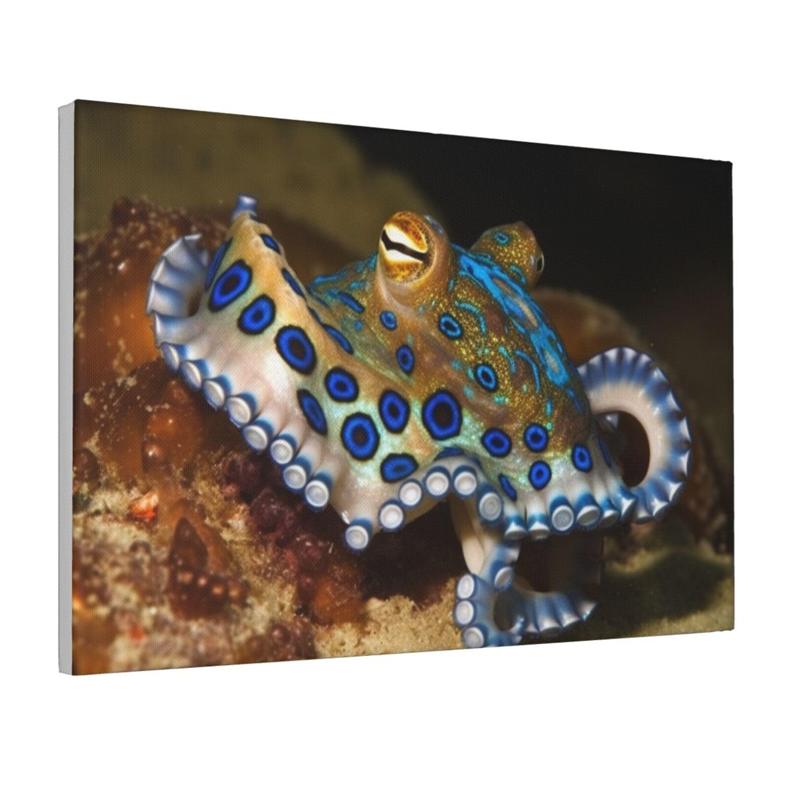 Framed Wall Art for Living Room Art Work, Blue Ring Octopus Picture Prints Modern Office Wall Paintings Poster Aesthetic Wall Decorations for Home Decor Ready To Hang 8"x12"