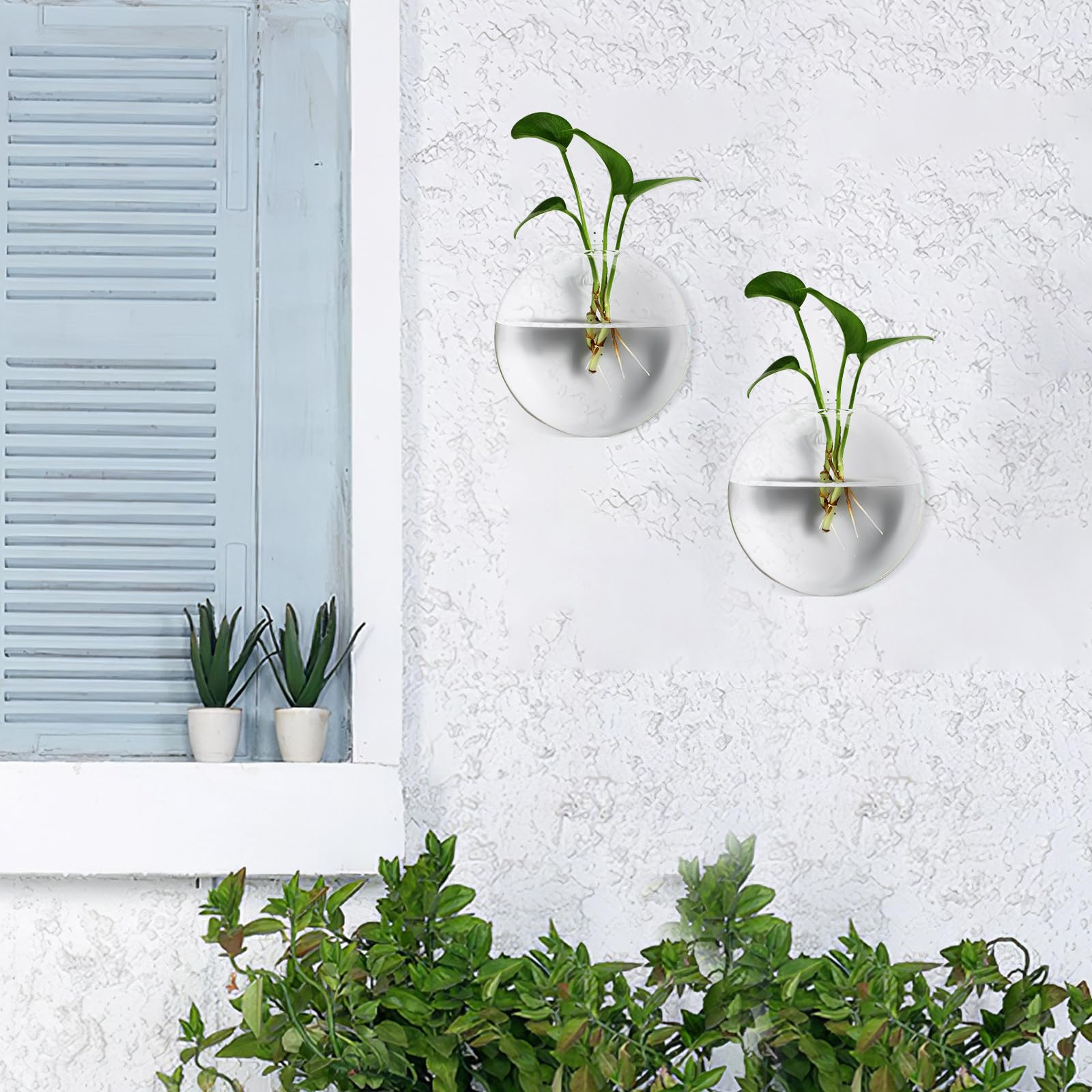 DECHOUS 4 pièces Vase Hydroponique Mural Verre Transparent Station de Propagation Ronde Compacte pour Plantes Intérieur Support Mural Pratique pour Bureau et Maison Optimise Espace et