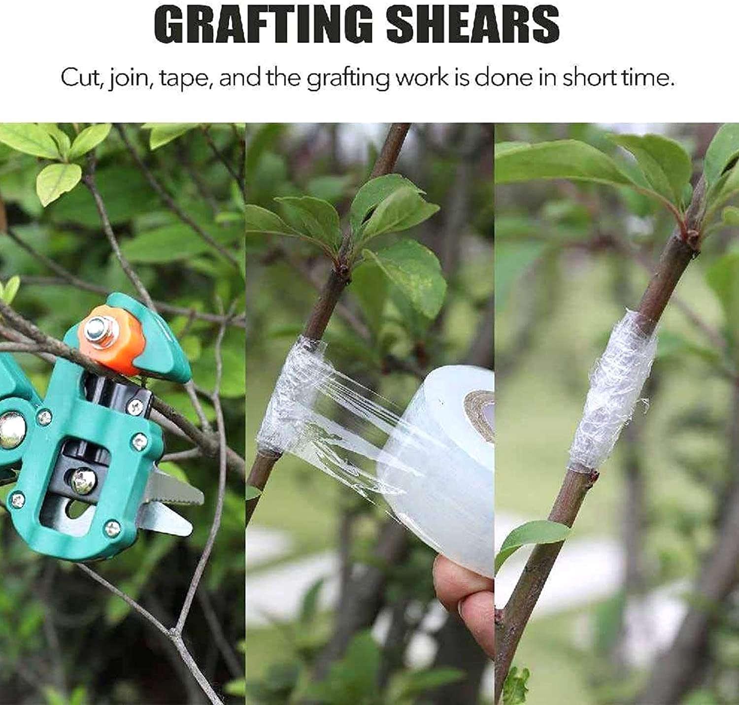 Kit di Utensili per innesto, Perfetto per Il Taglio e l'innesto di Alberi da frutto. Nastro per innesto e Lame di Ricambio in Omaggio. Kit Professionale per la