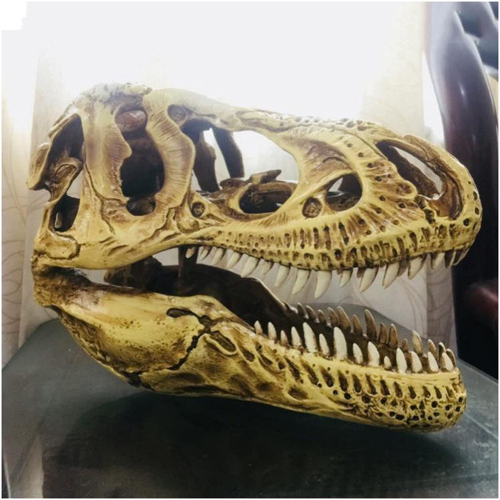 Replika czaszki T-Rexa Model symulowany szkielet zwierzęcia Tyrannosaurus Rex Wystrój biura domowego Rzemiosło Ozdoba na biurko Rekwizyt dydaktyczny