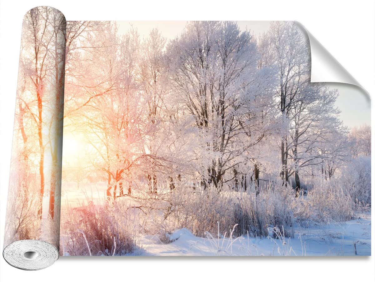 Papier Peint Arbres d'hiver Tulup pour Cacher Mur Abîmé Décoration Camouflage 208x146