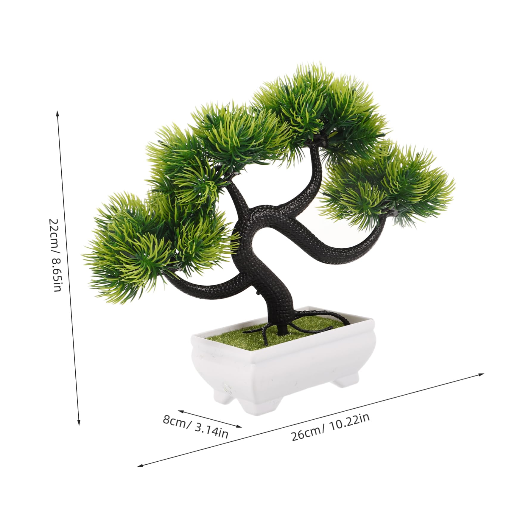enkianthus campanulatus bonsai Bonsai enkianthus  Bonsai winkel