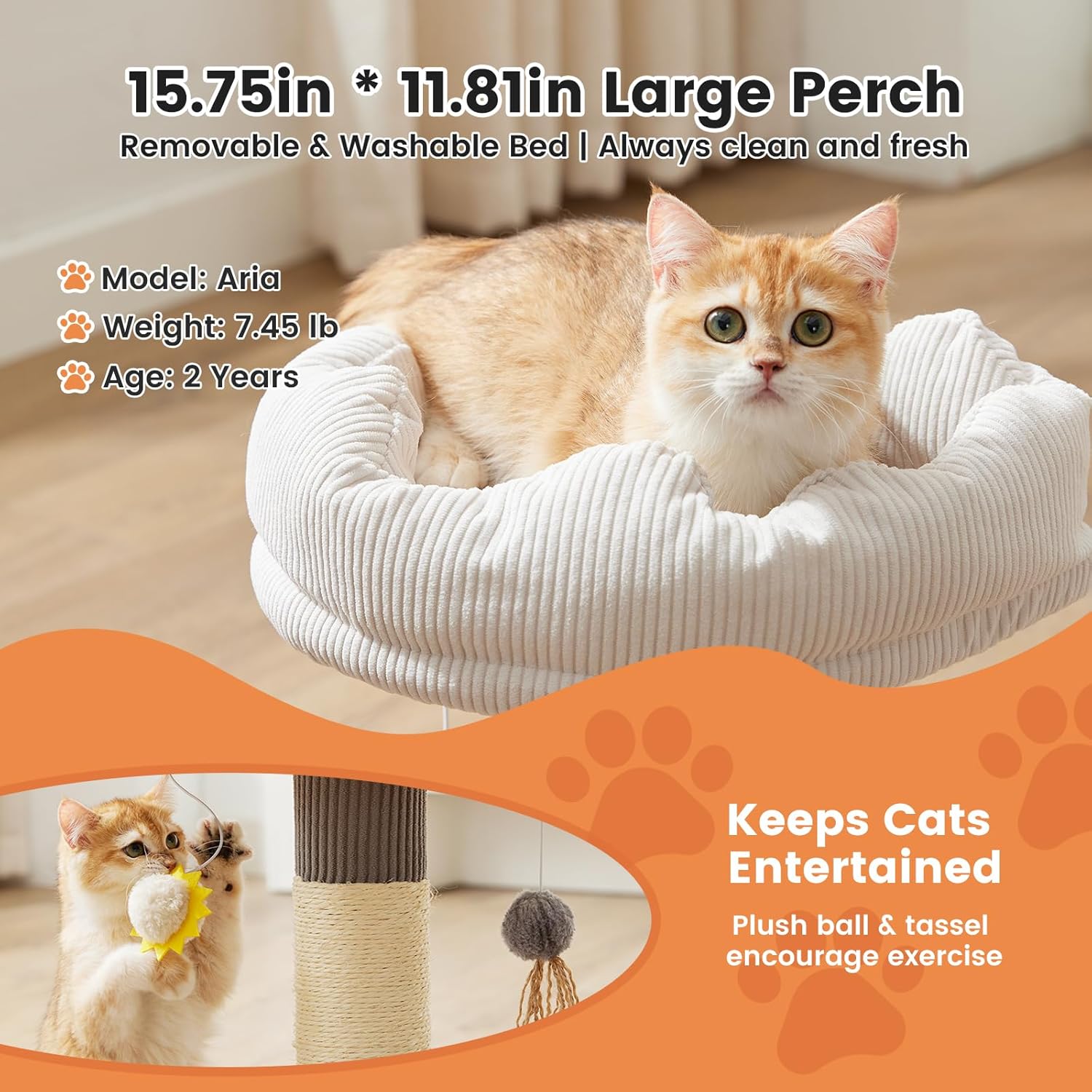 Gardner Pet 20" Cat Tree, Solid Wood Small Cat Tree with Cat Scratching-Posts & Hanging Toys for Kittens(Grey, Circle-Corduroy)