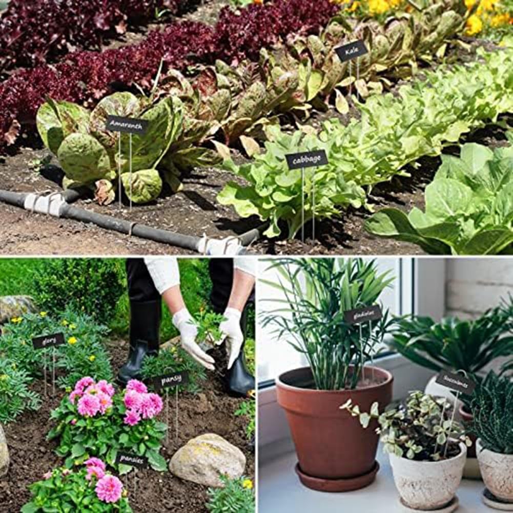 40er-Pack Wetterfeste Gartenmarkierungen für Gemüse, Blumen, Samen, Gewächshaus