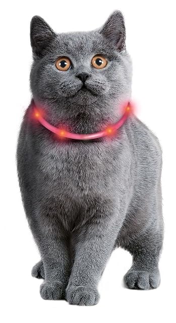 Foto 2 de 2 de Karlie 64966 Visio Light Collar LED Recargable con USB Ajustable Máximo 35 cm, Rosa