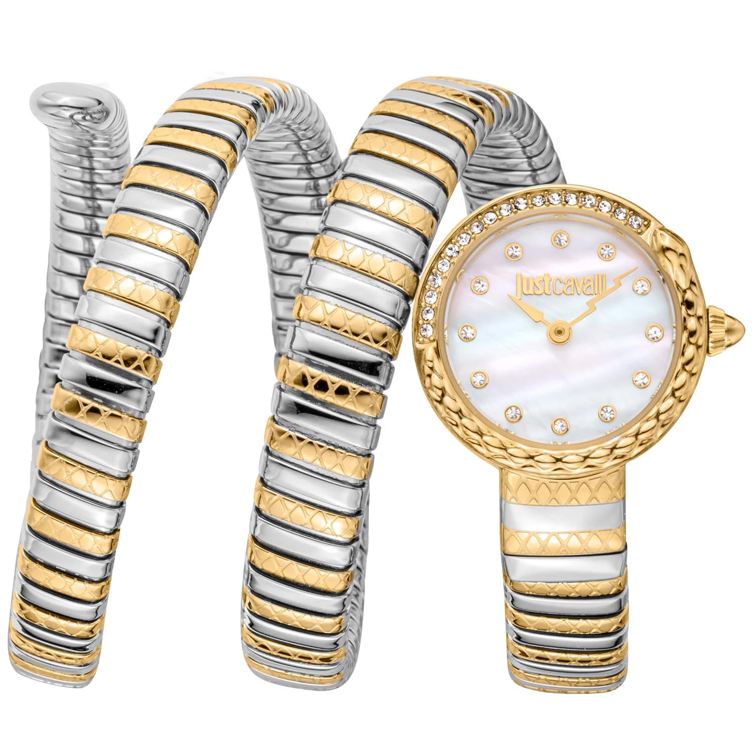 Just Cavalli Women Watch, Two Tone Silver & Rose Gold Color Case, Silver Dial, Two Tone Silver & Rose Gold Color Metal Bracelet, 2 Hands, 3 ATM (Two Tone Silver & Gold Color) (B0CVGTRNC7) Amazon Price History, Amazon Price Tracker