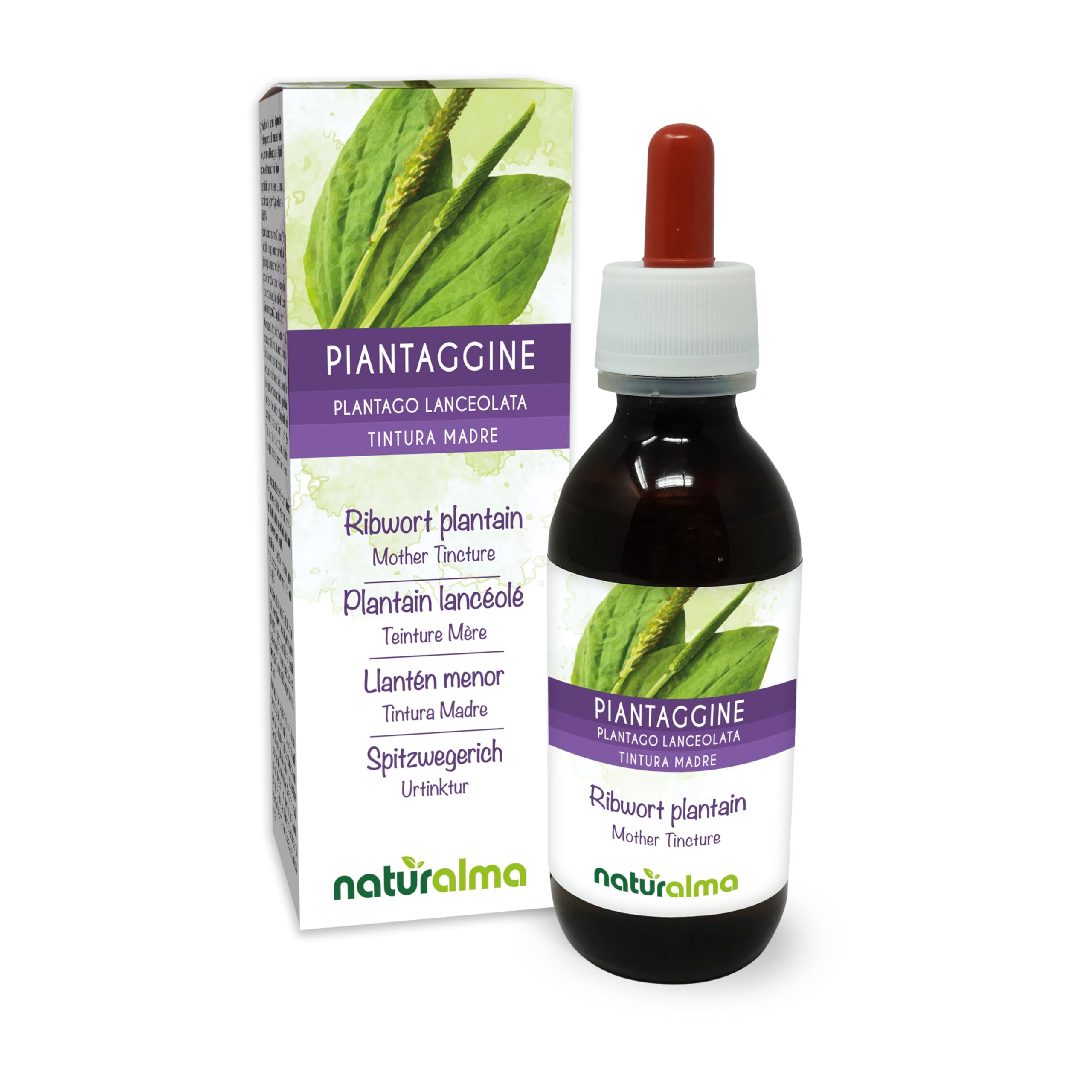 Llantén menor o Siete venas (Plantago lanceolata) hojas Tintura Madre sin alcohol Naturalma - Extracto líquido gotas 120 ml - Complemento alimenticio - Vegano