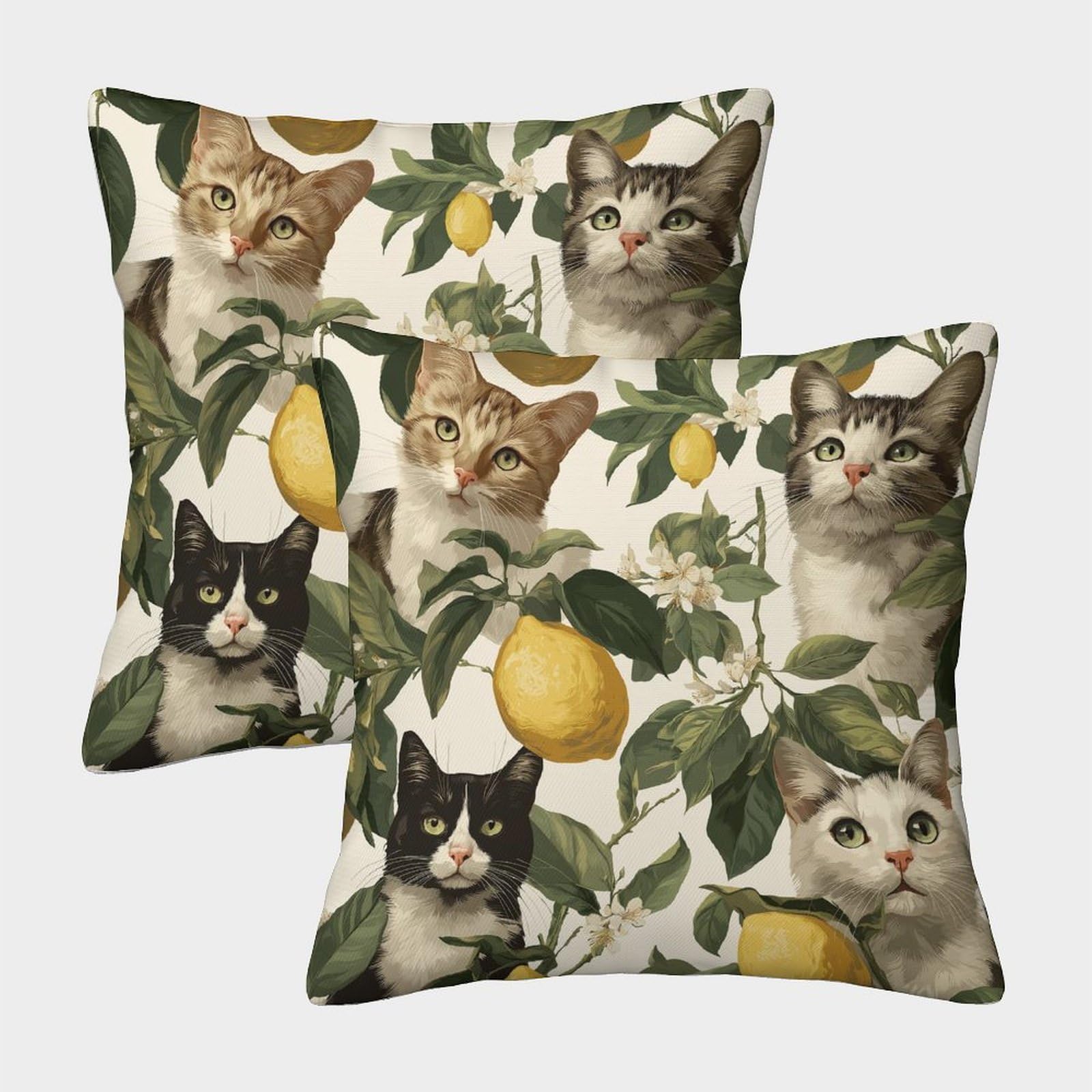 kaiyun 2 Pack 50x50cm Pillow Cases,Cat And Lemon Pattern Decorative 3D Printed Cushion Cover,sofa Bed Decorative Cushions