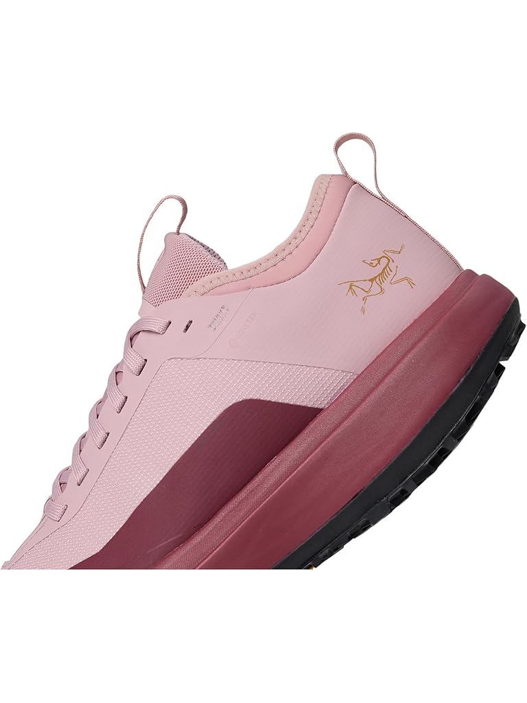 Pink Arc'teryx Sylan GTX