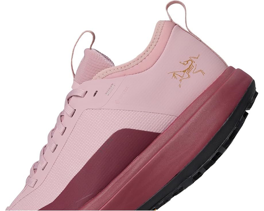 Arc'teryx Sylan GTX - Right View