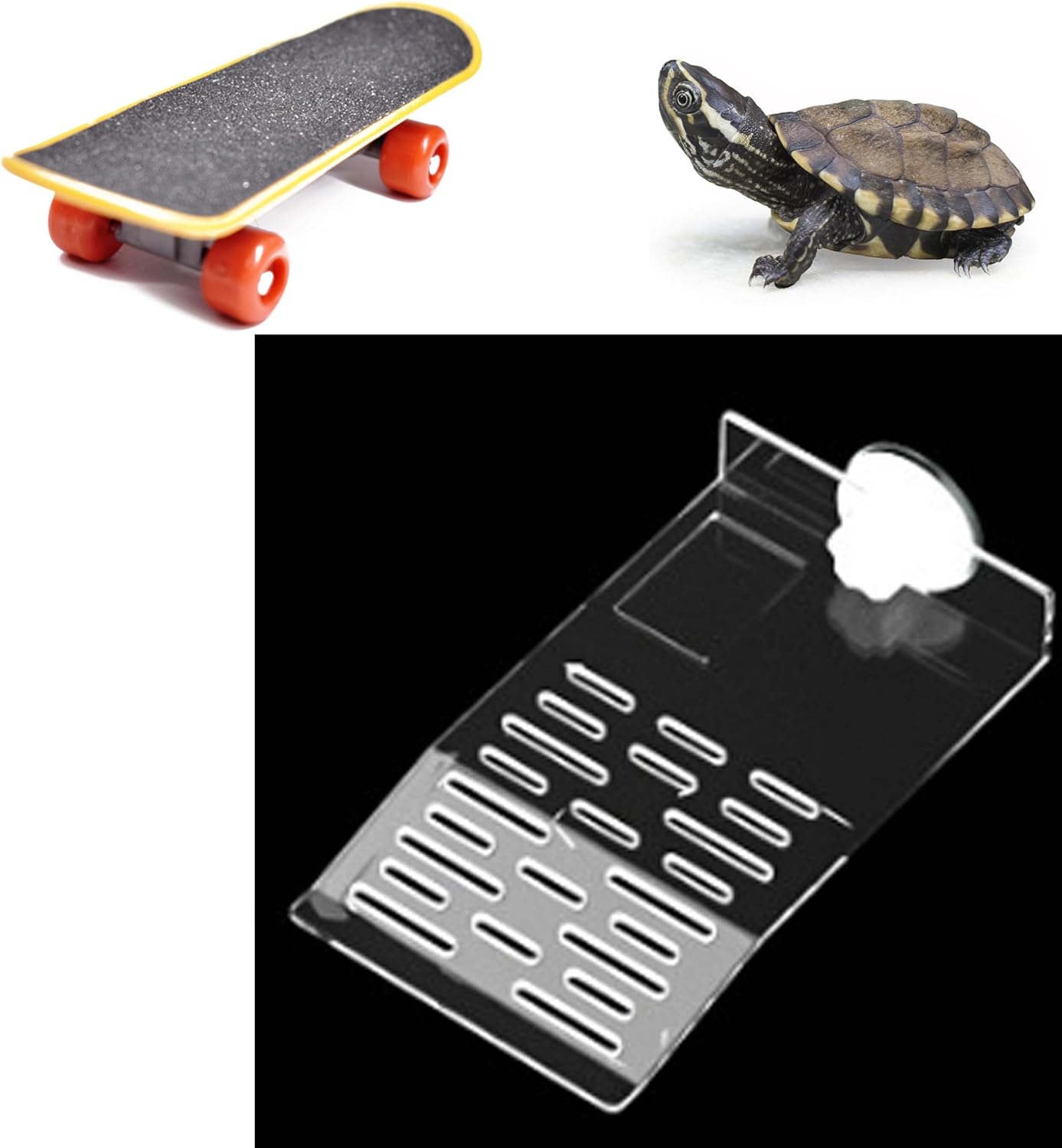 Turtle Basking Platform and Training Skateboard Set for Aquatic Turtles with Suction Cups Skateboard, Tortoise Tank Habitat Accessories, Reptile Animal Essentials (Transparent)