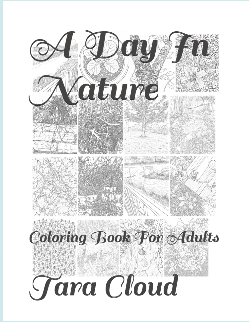 A Day In Nature: Coloring Book For Adults