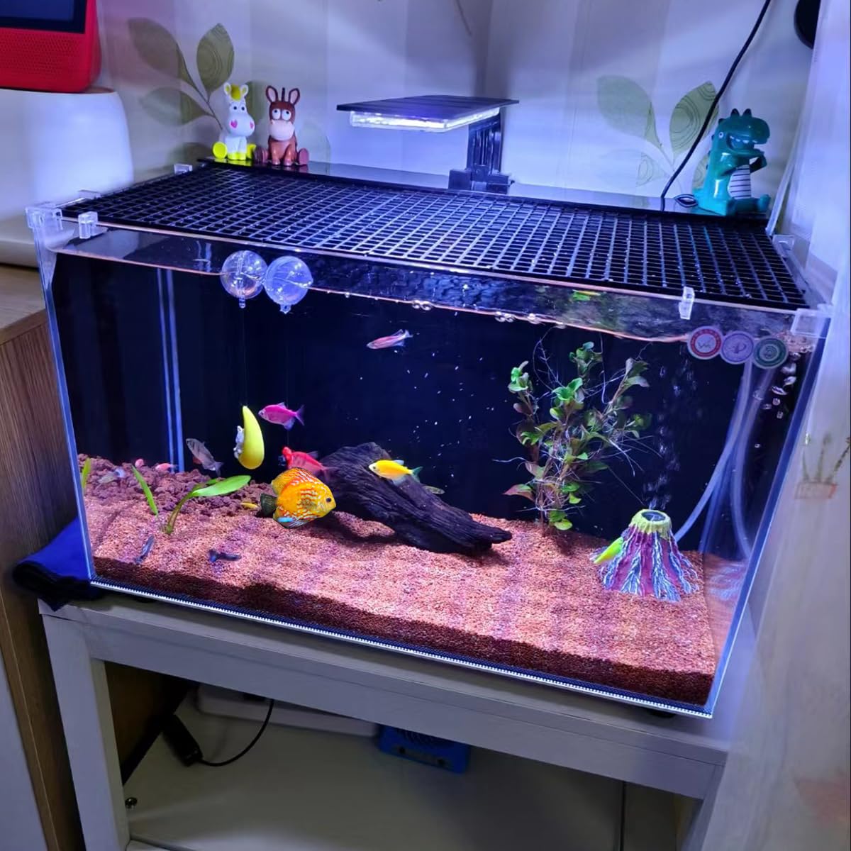 Amazon.com : DEMONTALK 2PCS Fish Tank Dividers Lid, Aquarium Grid