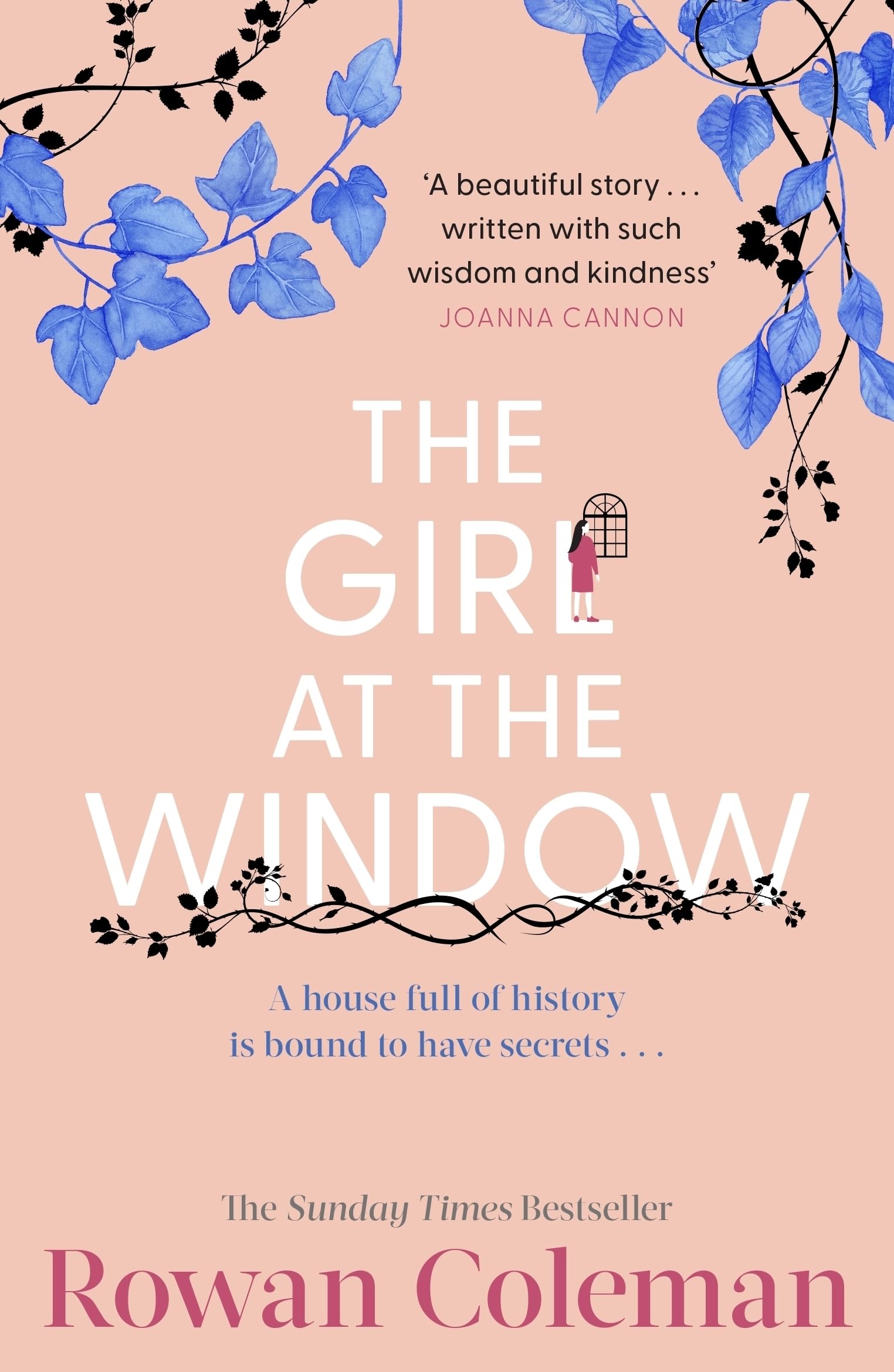 The Girl at the Window by Rowan Coleman PAPERBACK 9781804950487