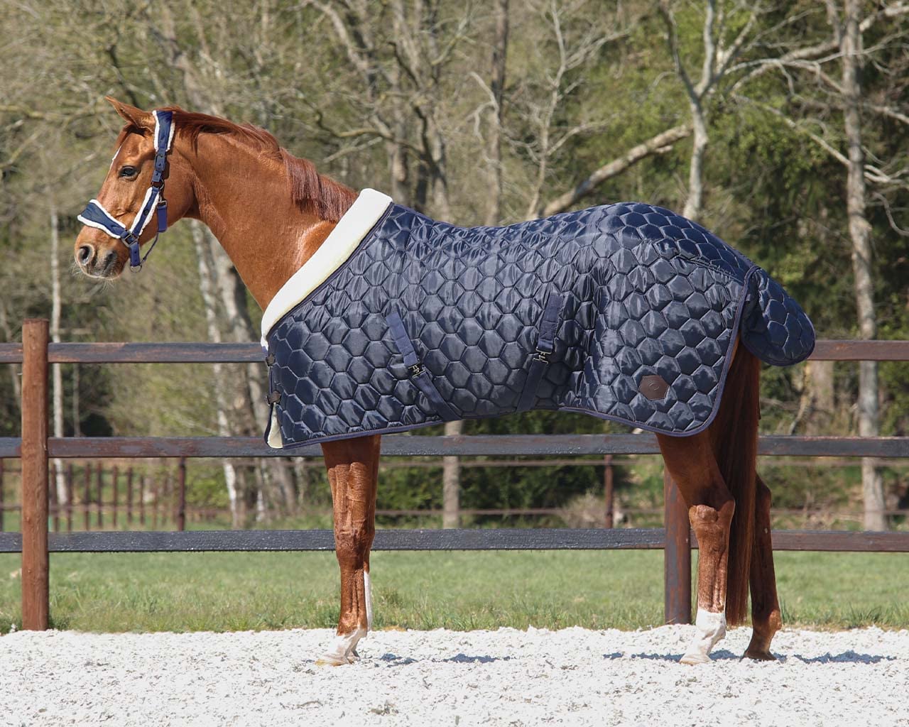 Couverture d'écurie pour cheval QHP Classy 100g rembourrée de couleur marine