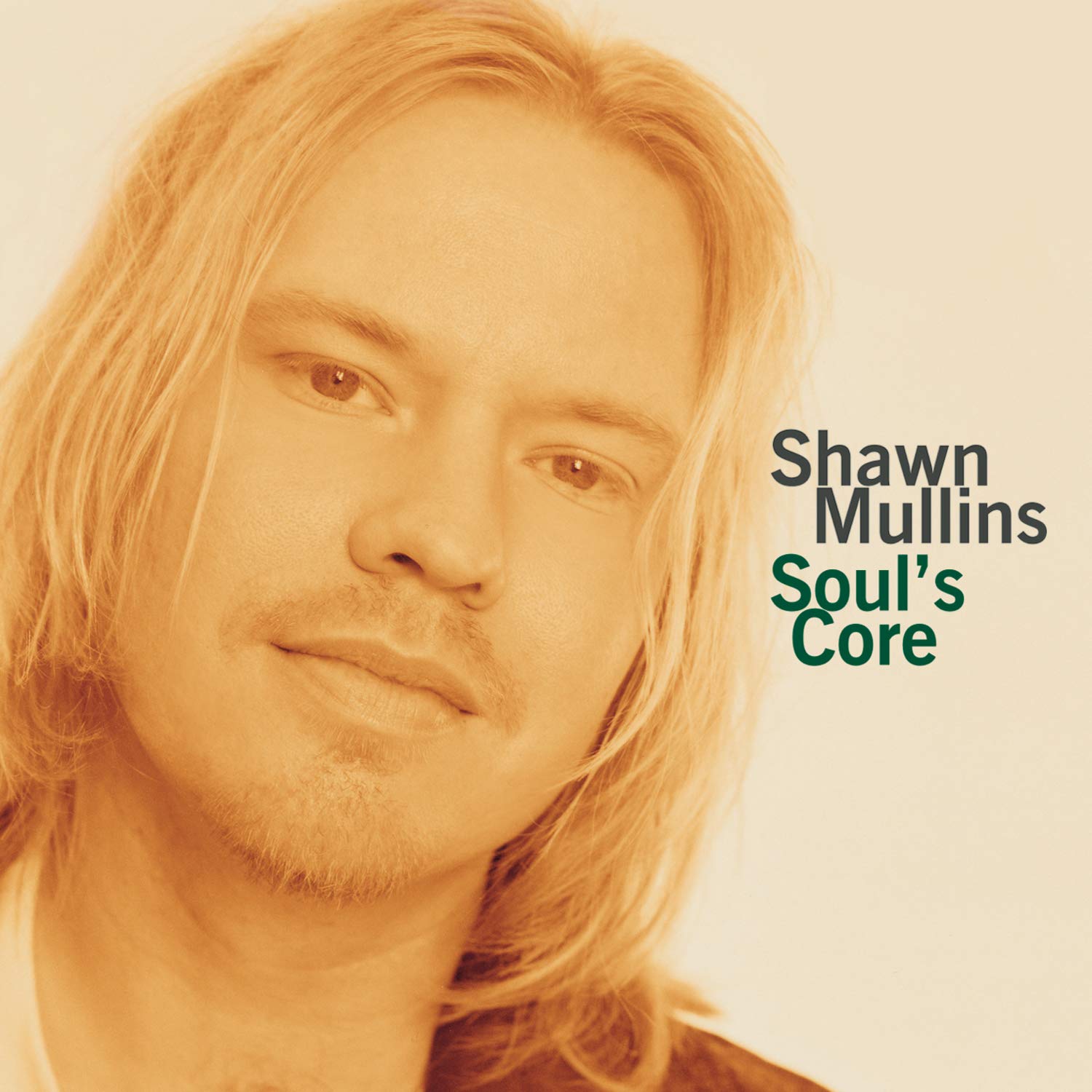 Soul's Core [Audio CD] Shawn Mullins