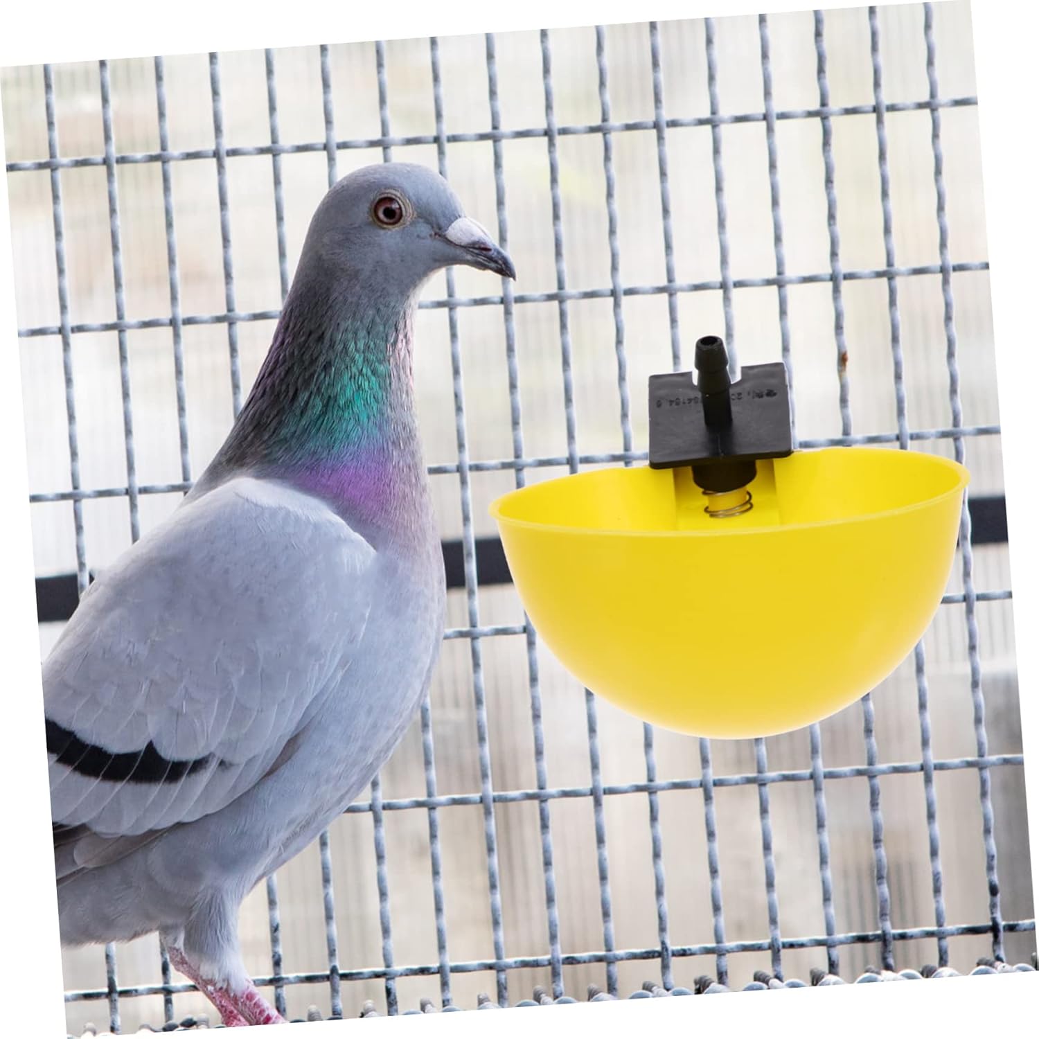 GALPADA 20pcs Automatic Pigeon Water Dispenser and Quail Water Feeder Easy-Install Drinking Cup for Small Birds for and Backyard Use