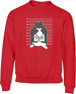 Hippowarehouse I Knocked Down The Christmas Tree - Naughty Cat Mugshot Kids Children's Unisex Jumper Sweatshirt Pullover