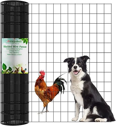 Miniatura 10 de Amagabeli JW005 - Tela de hardware de calibre 19 de 36 pulgadas x 50 pies galvanizada después de soldar rollos de malla cuadrada de pollo de alambre