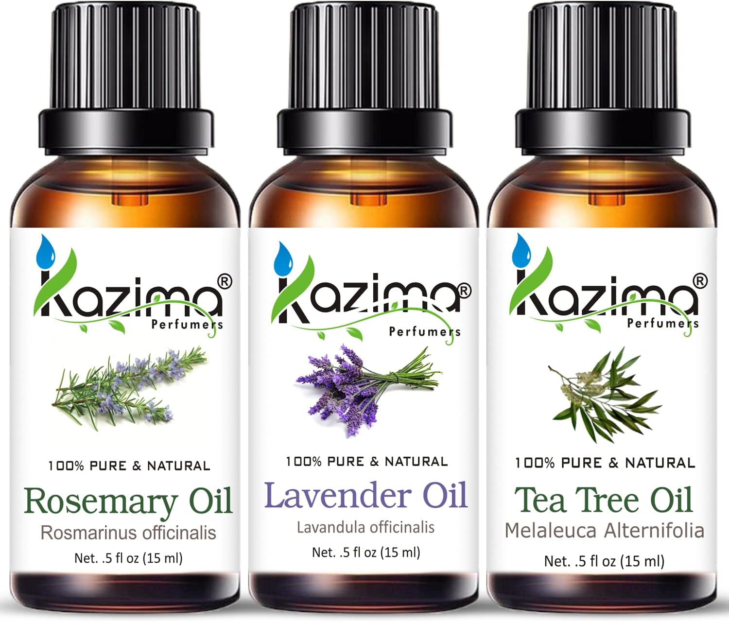 KAZIMA Essential Oils - Rosemary Oil, Lavender Oil & Tea Tree Oil (Combo Pack of 3) 15 ml Each