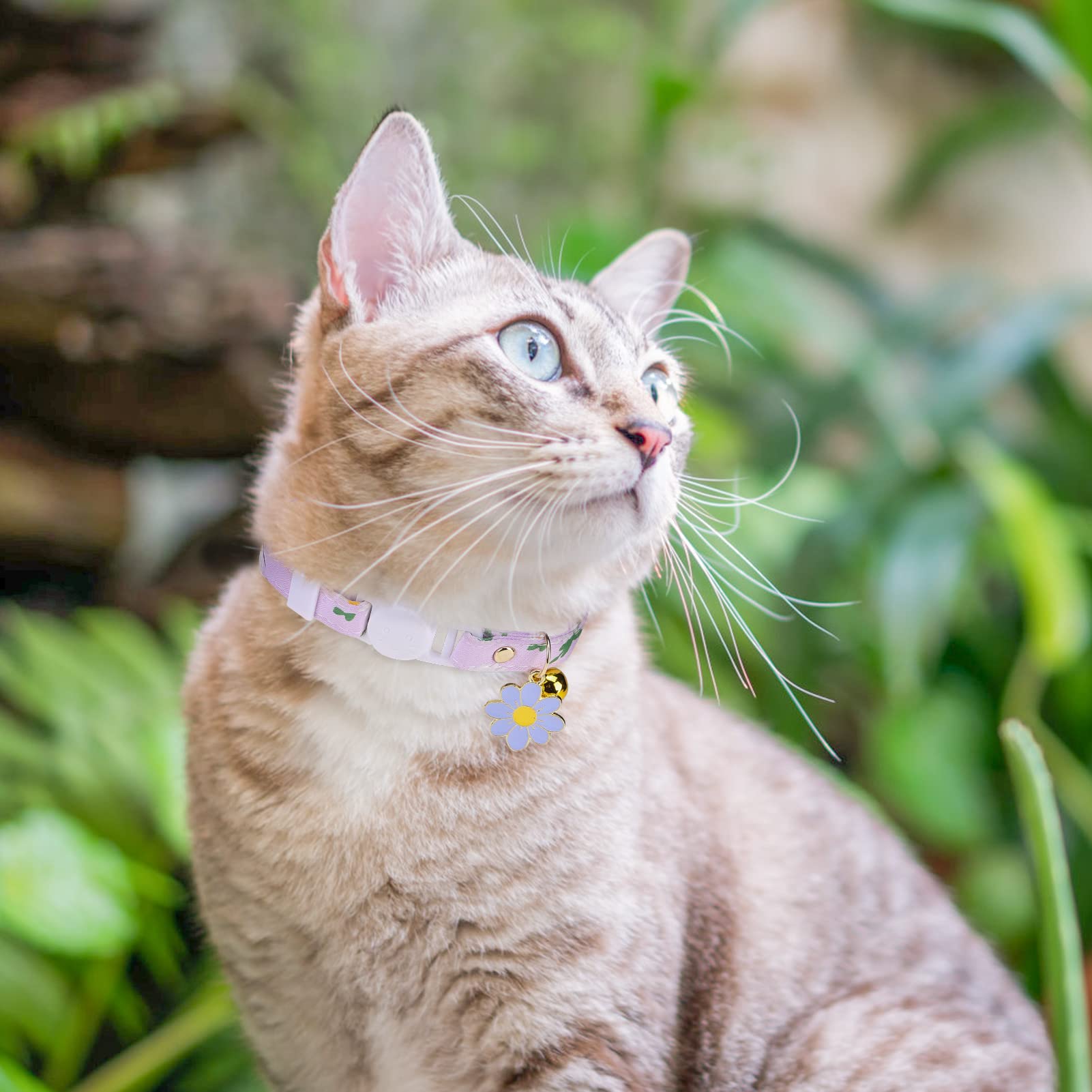Collares de gato con campanas y abalorios, collar de hebilla de seguridad ajustable personalizado para gatitos, gatos, niñas y niños