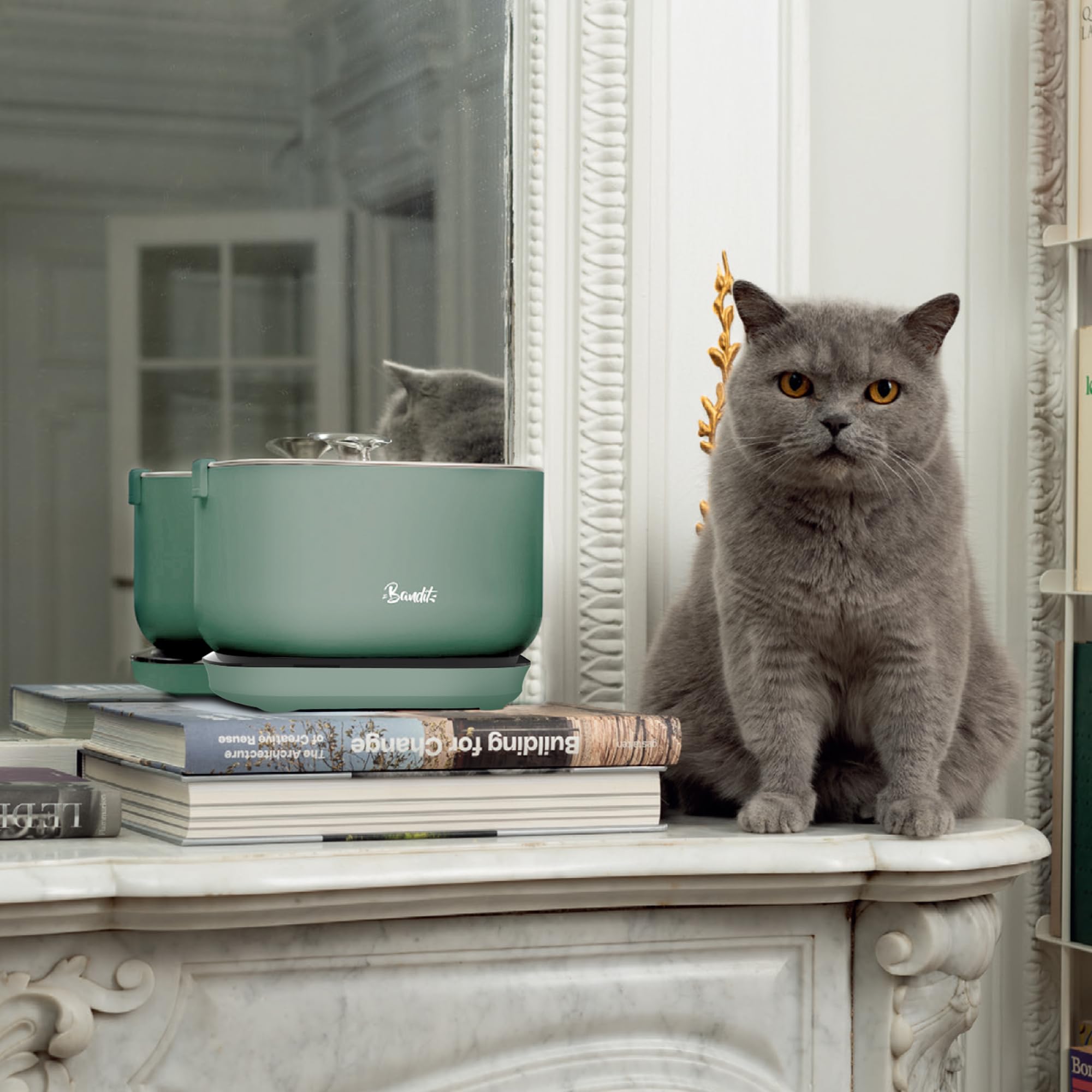 Bandit - Fontaine à Eau sans Fil pour Chat 2,5L - Autonomie 30 Jours - Filtration 4 étapes - Détecteur de Mouvement Intelligent - Ultra silencieuse inférieure 30dB - Acier Inoxydable - Vert
