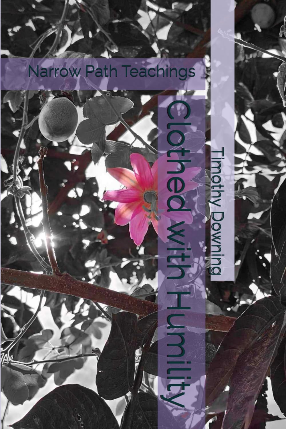 Clothed with Humility (Narrow Path Teachings)
