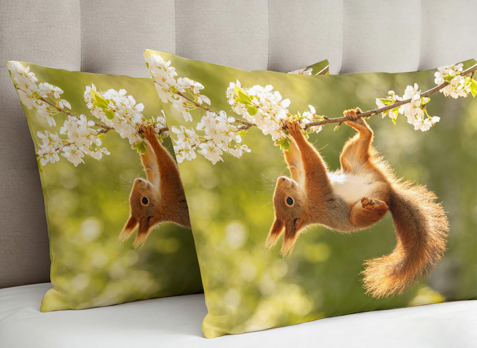 Funda Nórdica Cama 180 Ardilla Impresión 3D Microfibra Suave Ropa de Cama Fauna Silvestre Funda Edredon 240x260 cm con Cremallera y 2 Fundas de Almohada 50x75 cm l.946
