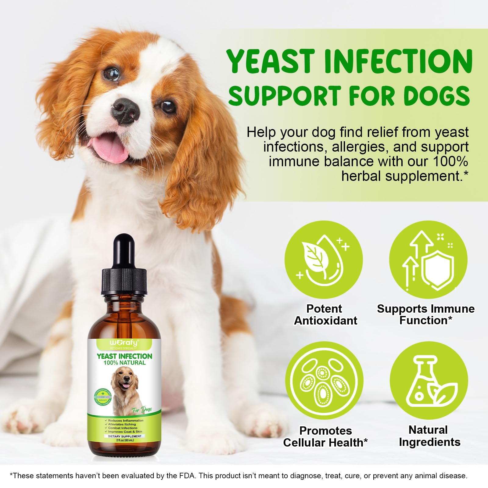 Gocce per Infezioni da Lieviti per Cani, Nelle Orecchie e Sulla Pelle - Sollievo da Prurito, Arrossamento e Odore, Supporta la Salute Generale Della Pelle e del Mantello, 60ml