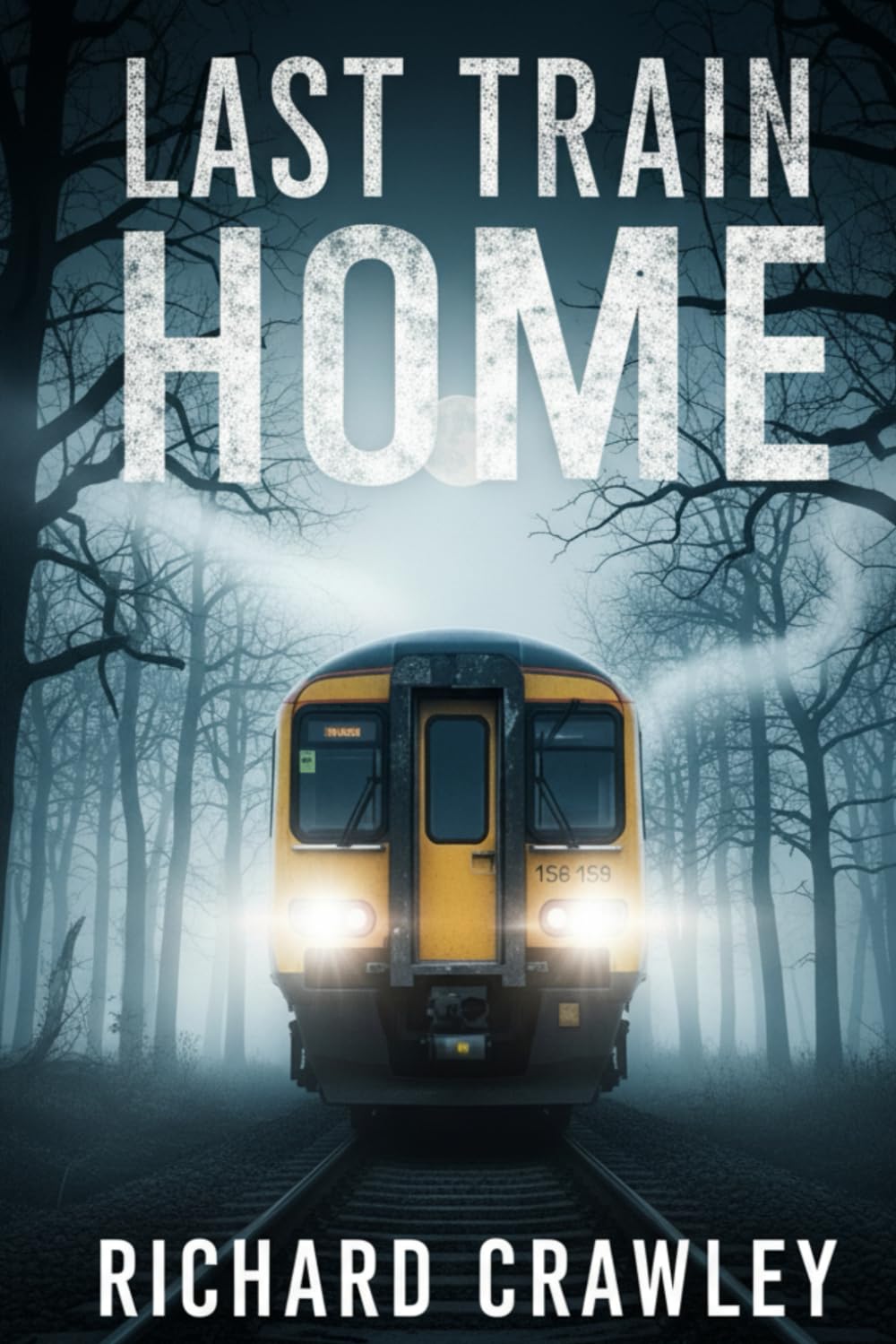 LAST TRAIN HOME: A Murder Mystery